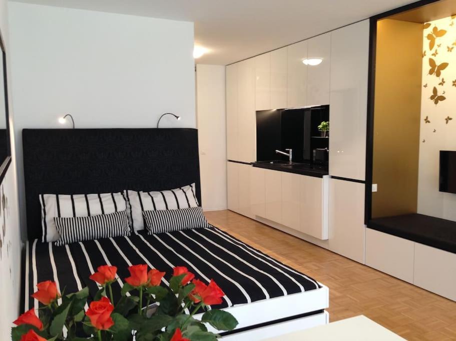 Gorgeous Central Flat With Garage 卢布尔雅那 外观 照片