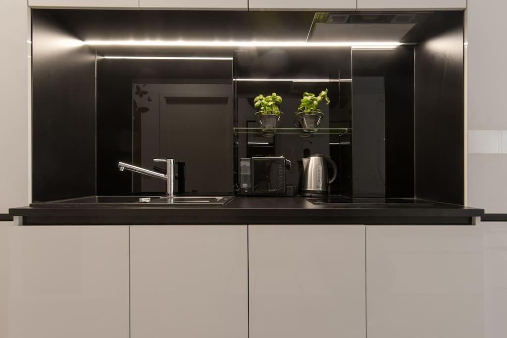 Gorgeous Central Flat With Garage 卢布尔雅那 外观 照片
