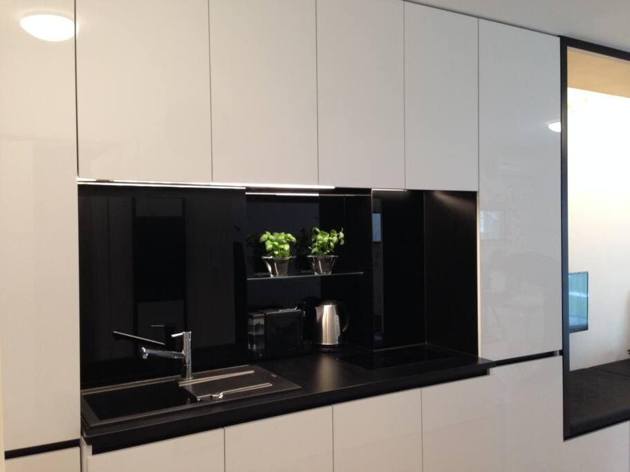 Gorgeous Central Flat With Garage 卢布尔雅那 外观 照片