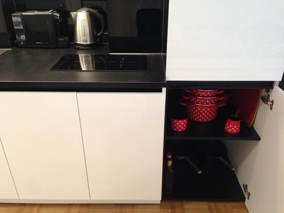 Gorgeous Central Flat With Garage 卢布尔雅那 外观 照片