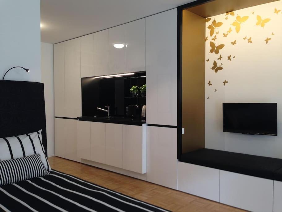 Gorgeous Central Flat With Garage 卢布尔雅那 外观 照片