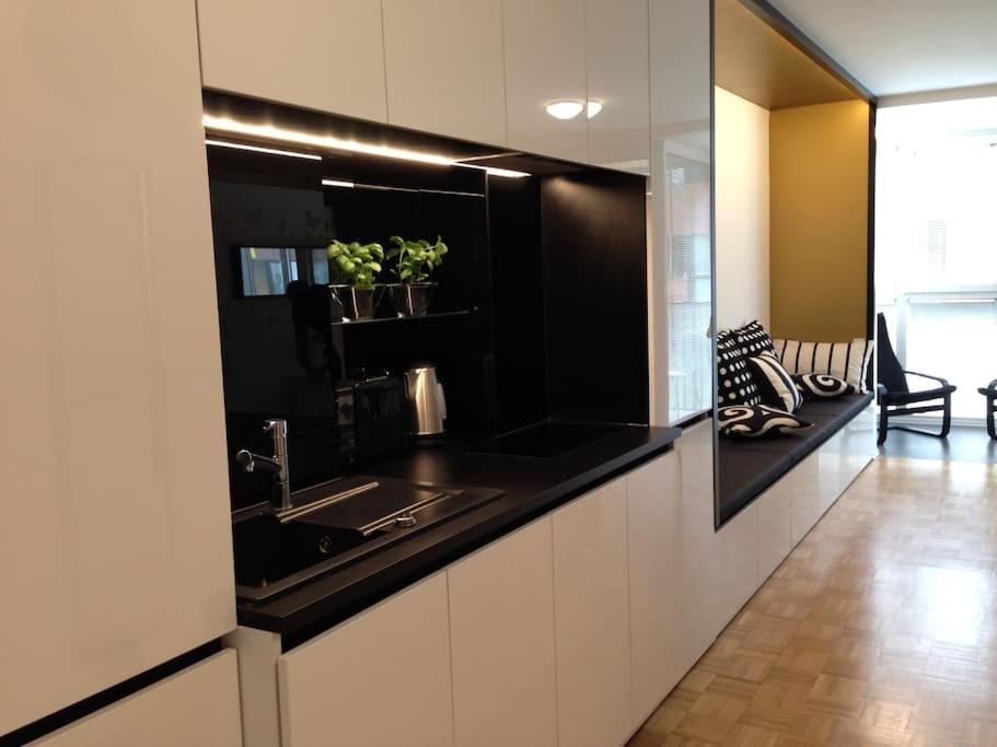 Gorgeous Central Flat With Garage 卢布尔雅那 外观 照片